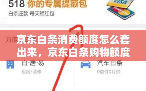 京东白条消费额度怎么套出来，京东白条购物额度怎么套出来