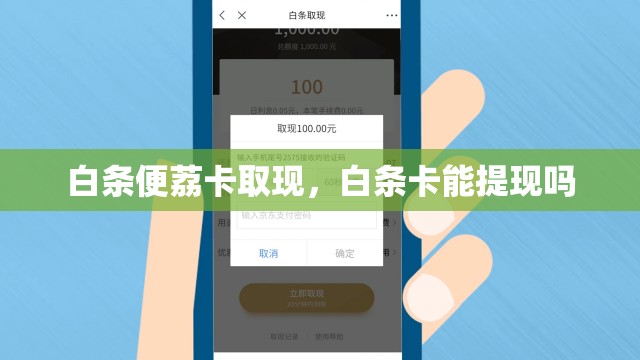 白条便荔卡取现，白条卡能提现吗