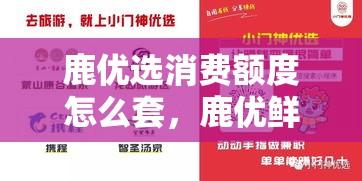 鹿优选消费额度怎么套，鹿优鲜食品安全吗