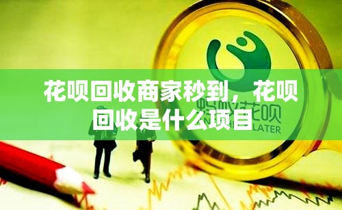 花呗回收商家秒到，花呗回收是什么项目