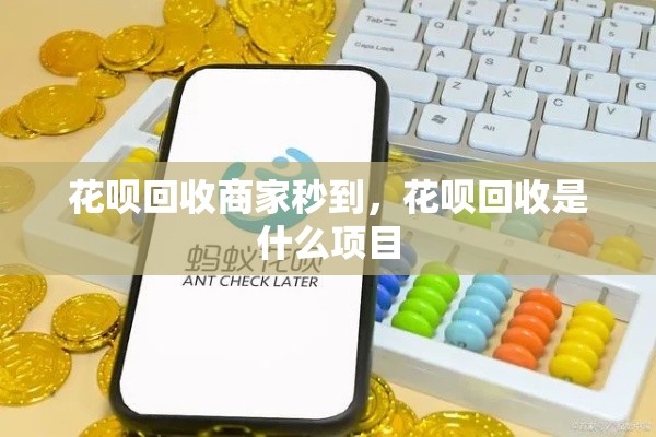 花呗回收商家秒到,花呗回收是什么项目