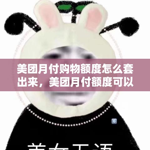 美团月付购物额度怎么套出来，美团月付额度可以套出来吗
