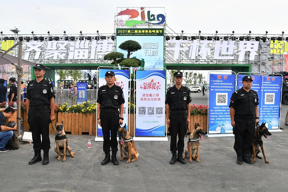 淄博青岛旅游打卡十大排名淄博十大最好玩的地方，淄博哪里好玩，淄博好玩的旅游