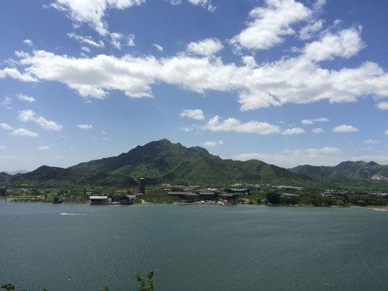 十大最适合新手养的乌龟（世界小型淡水龟排名前十名）