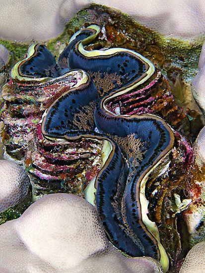 世界生物实力排名前十,生物科学排名前两百的全球大学！