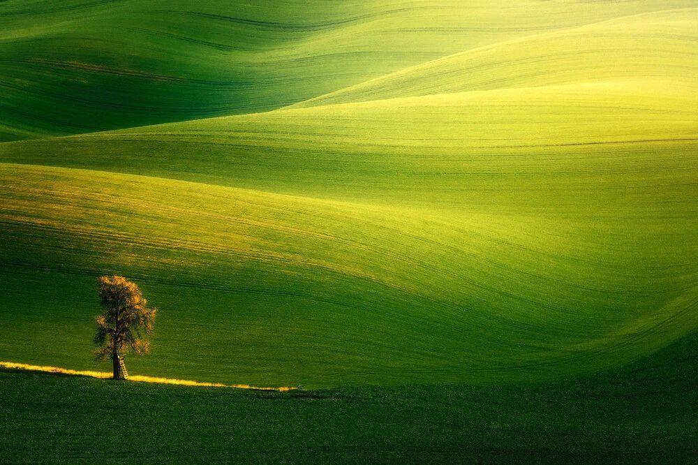 世界云雾景观排名前十世界第一云雾山观景台