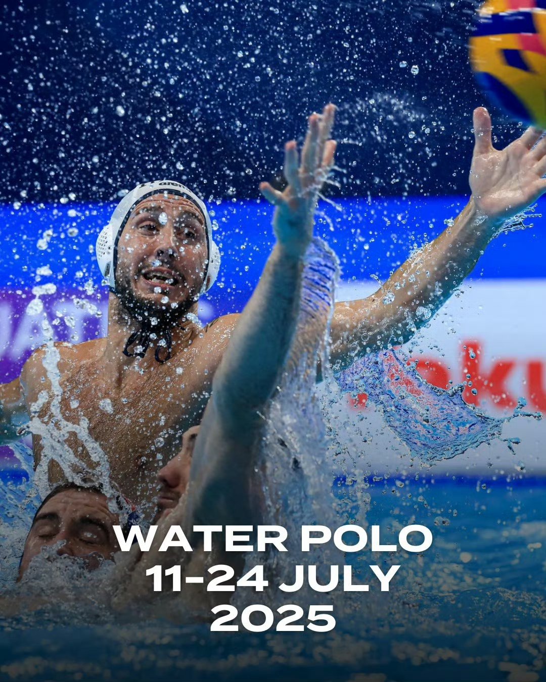 世界水泳元素排名前十,哪位高人个些后宫动漫