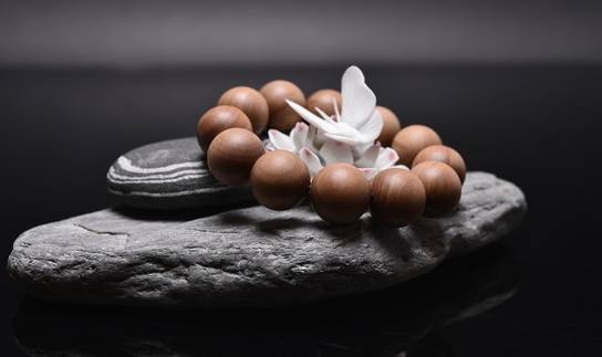 世界上最可怕的十大昆虫（世界上最凶猛的昆虫排名）（寄生虫排名榜）