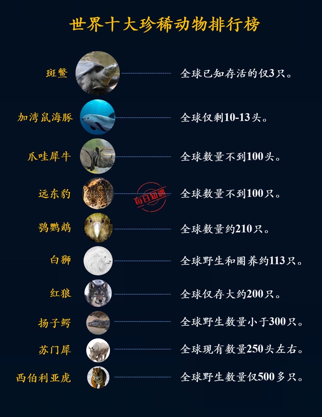 世界上九种动物排名前十,十大动物战斗力排名？