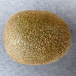 意大利激素药膏十大排名,意大利激素药膏十大排名品牌