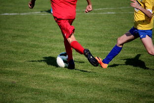 世界女乒前十运动员排名最新，世界女乒前十运动员排名