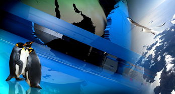 世界排名丧尸片，世界丧尸文明排名前十