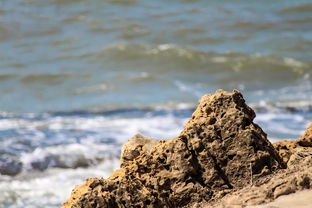 战术核潜艇世界排名前十，战略核潜艇排名