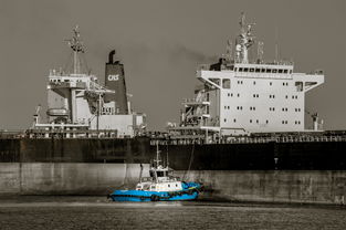 世界远洋捕鱼船排名前十,世界远洋捕捞排名