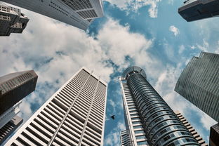 世界500排名前十,世界500排名前十的中国企业