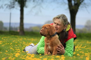 世界上最古老狗排名前十的简单介绍